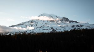 Preview wallpaper mountain, peak, snowy, forest, trees