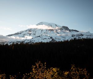 Preview wallpaper mountain, peak, snowy, forest, trees