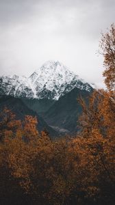 Preview wallpaper mountain, peak, snowy, trees, landscape