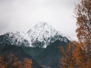 Preview wallpaper mountain, peak, snowy, trees, landscape