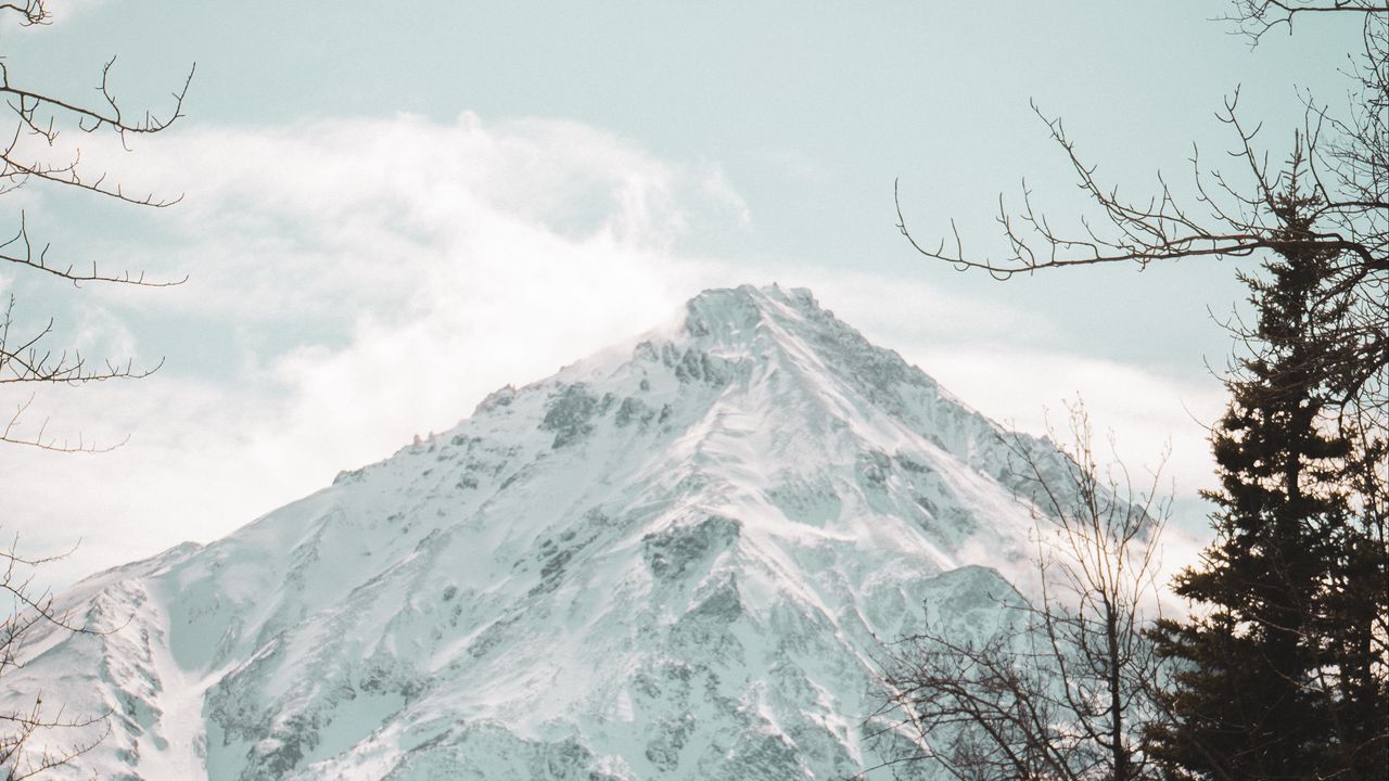 Wallpaper mountain, peak, snowy, forest, nature