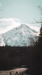 Preview wallpaper mountain, peak, snowy, forest, nature