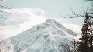 Preview wallpaper mountain, peak, snowy, forest, nature