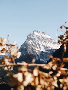 Preview wallpaper mountain, peak, snowy, branch, landscape