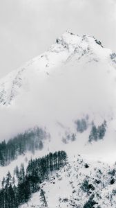 Preview wallpaper mountain, peak, snowy, slope, winter