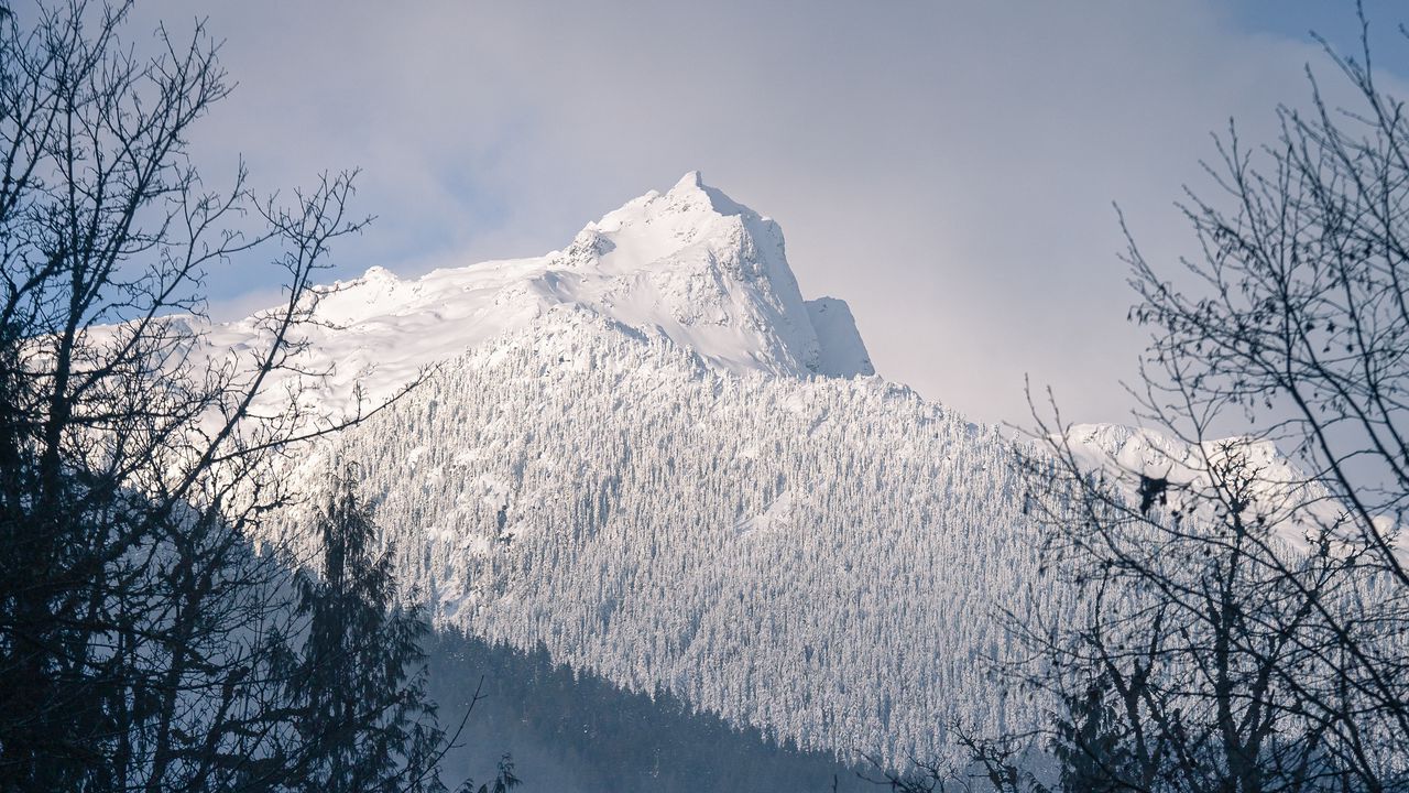 Wallpaper mountain, peak, snowy, trees, slope