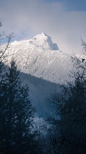 Preview wallpaper mountain, peak, snowy, trees, slope