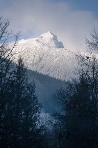 Preview wallpaper mountain, peak, snowy, trees, slope