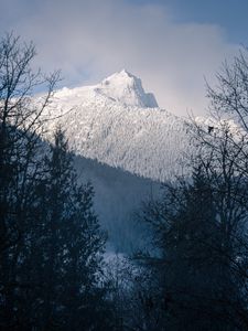 Preview wallpaper mountain, peak, snowy, trees, slope