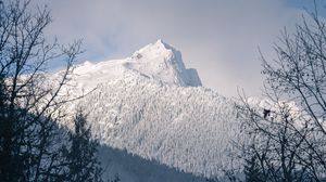 Preview wallpaper mountain, peak, snowy, trees, slope