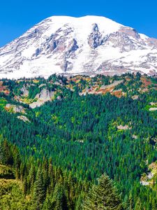 Preview wallpaper mountain, peak, snowy, slope, forest