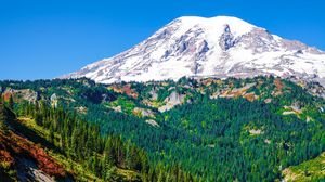 Preview wallpaper mountain, peak, snowy, slope, forest