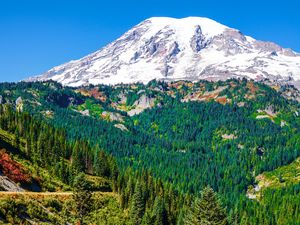 Preview wallpaper mountain, peak, snowy, slope, forest