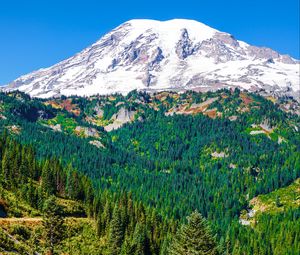 Preview wallpaper mountain, peak, snowy, slope, forest