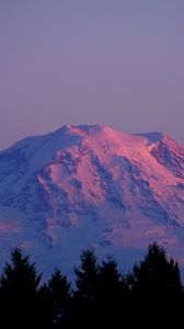 Preview wallpaper mountain, peak, snowy, twilight, trees