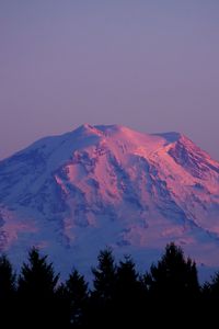 Preview wallpaper mountain, peak, snowy, twilight, trees