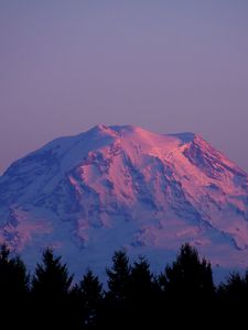 Preview wallpaper mountain, peak, snowy, twilight, trees