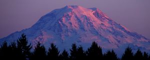 Preview wallpaper mountain, peak, snowy, twilight, trees