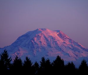 Preview wallpaper mountain, peak, snowy, twilight, trees