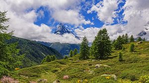 Preview wallpaper mountain, peak, spruce, hills, grass