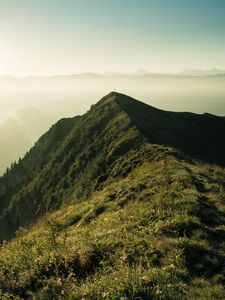 Preview wallpaper mountain, peak, sunlight, fog, grass