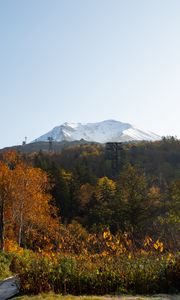 Preview wallpaper mountain, peak, trees, forest, autumn