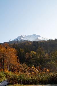 Preview wallpaper mountain, peak, trees, forest, autumn