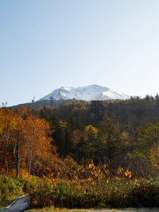 Preview wallpaper mountain, peak, trees, forest, autumn