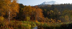 Preview wallpaper mountain, peak, trees, forest, autumn