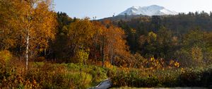 Preview wallpaper mountain, peak, trees, forest, autumn