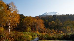 Preview wallpaper mountain, peak, trees, forest, autumn