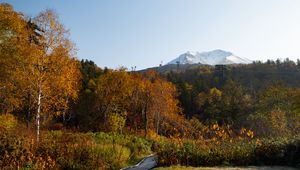 Preview wallpaper mountain, peak, trees, forest, autumn