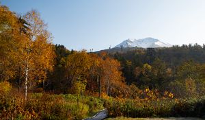 Preview wallpaper mountain, peak, trees, forest, autumn