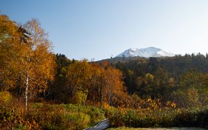 Preview wallpaper mountain, peak, trees, forest, autumn