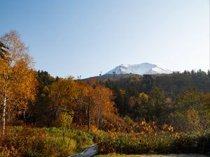 Preview wallpaper mountain, peak, trees, forest, autumn