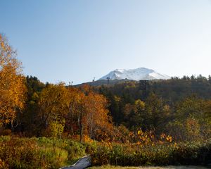 Preview wallpaper mountain, peak, trees, forest, autumn