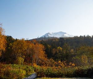 Preview wallpaper mountain, peak, trees, forest, autumn