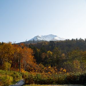 Preview wallpaper mountain, peak, trees, forest, autumn