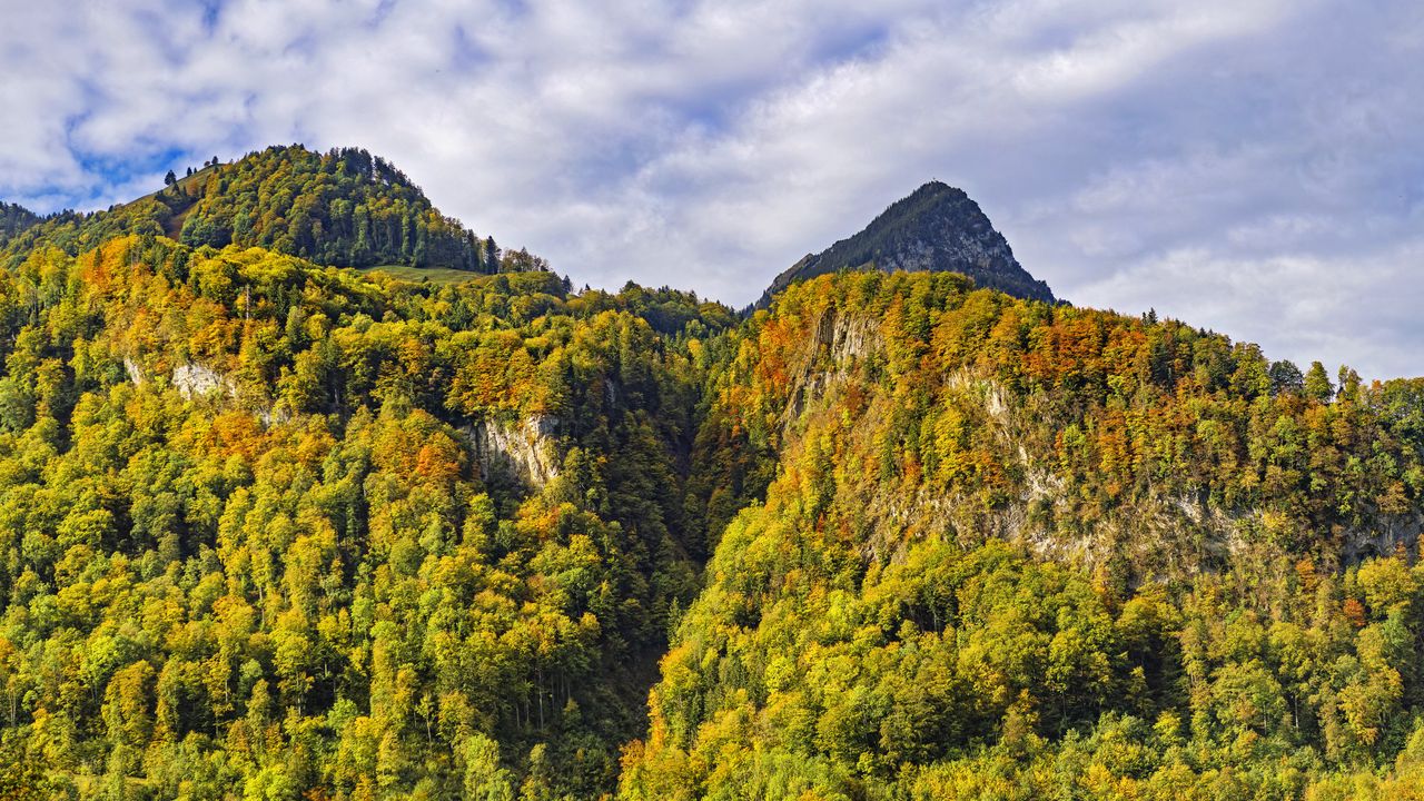 Wallpaper mountain, peak, trees, autumn, landscape
