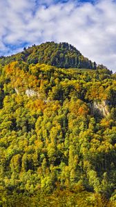 Preview wallpaper mountain, peak, trees, autumn, landscape