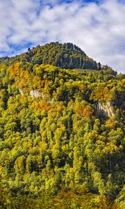 Preview wallpaper mountain, peak, trees, autumn, landscape