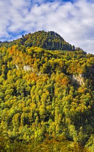 Preview wallpaper mountain, peak, trees, autumn, landscape