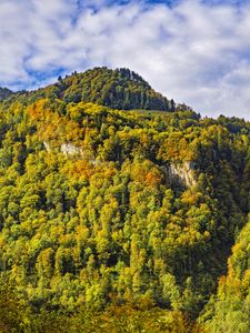 Preview wallpaper mountain, peak, trees, autumn, landscape