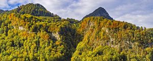 Preview wallpaper mountain, peak, trees, autumn, landscape