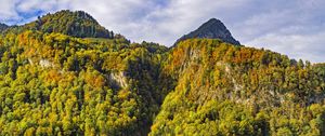 Preview wallpaper mountain, peak, trees, autumn, landscape