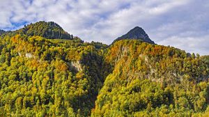 Preview wallpaper mountain, peak, trees, autumn, landscape