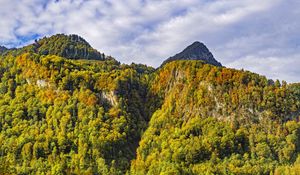 Preview wallpaper mountain, peak, trees, autumn, landscape