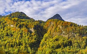 Preview wallpaper mountain, peak, trees, autumn, landscape