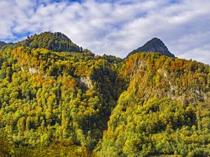 Preview wallpaper mountain, peak, trees, autumn, landscape