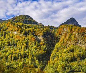 Preview wallpaper mountain, peak, trees, autumn, landscape